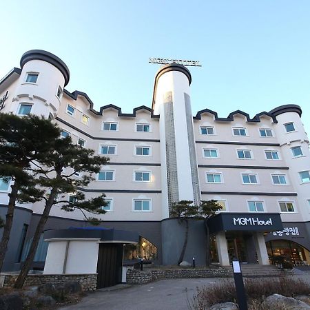 Mgm ホテル 江陵市 エクステリア 写真